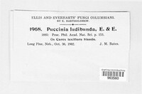 Image Associated With the Occurence